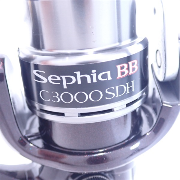 １０セフィアＢＢＣ３０００ＳＤＨ